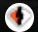 FreeOnes Tube